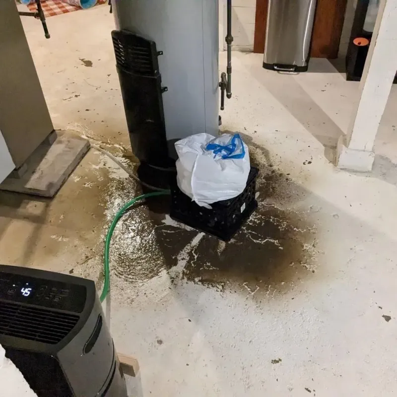 Sewage Backup Cleanup Service in Chandler, TX